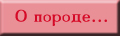 О породе
